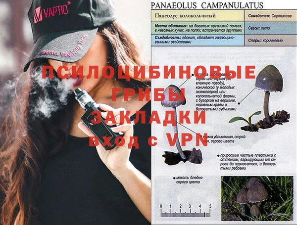 дурь Алзамай