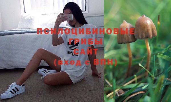 дурь Алзамай