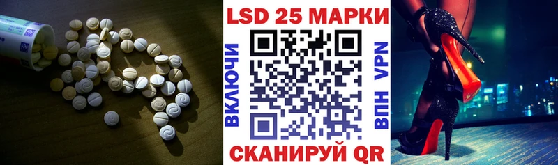 Купить закладки  Шенкурск  ЛСД экстази ecstasy 